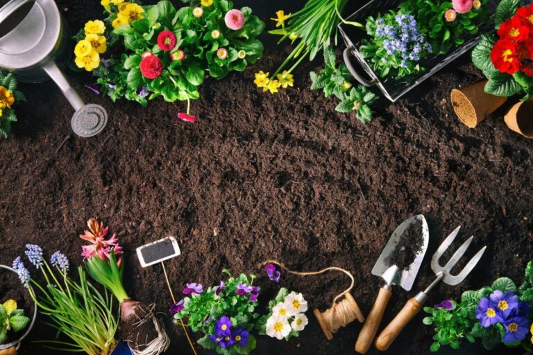 picture durable comment jardin creer vous